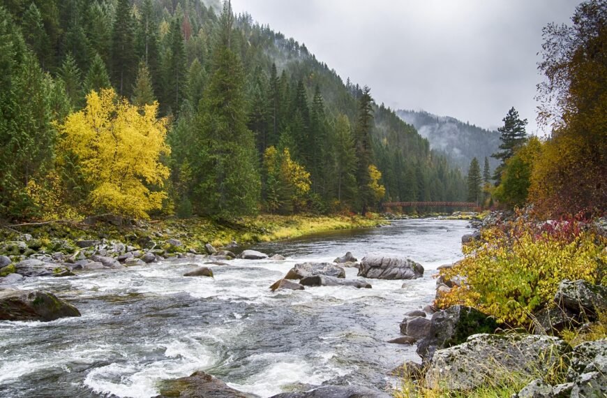 Jaka wędka na białą rybę