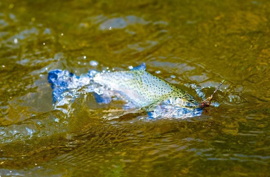Jaka wędka na spławik