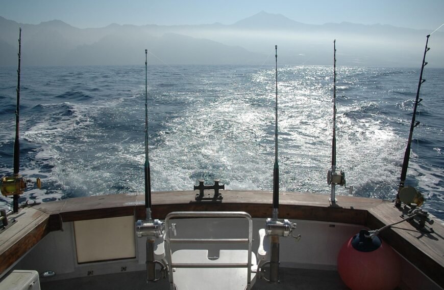 Jaka wędka na feeder