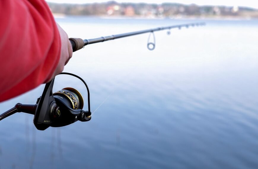 Jaka wędka na method feeder