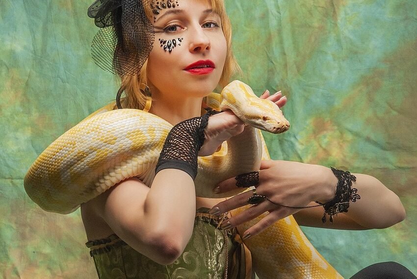 Ile żyje pyton królewski samica