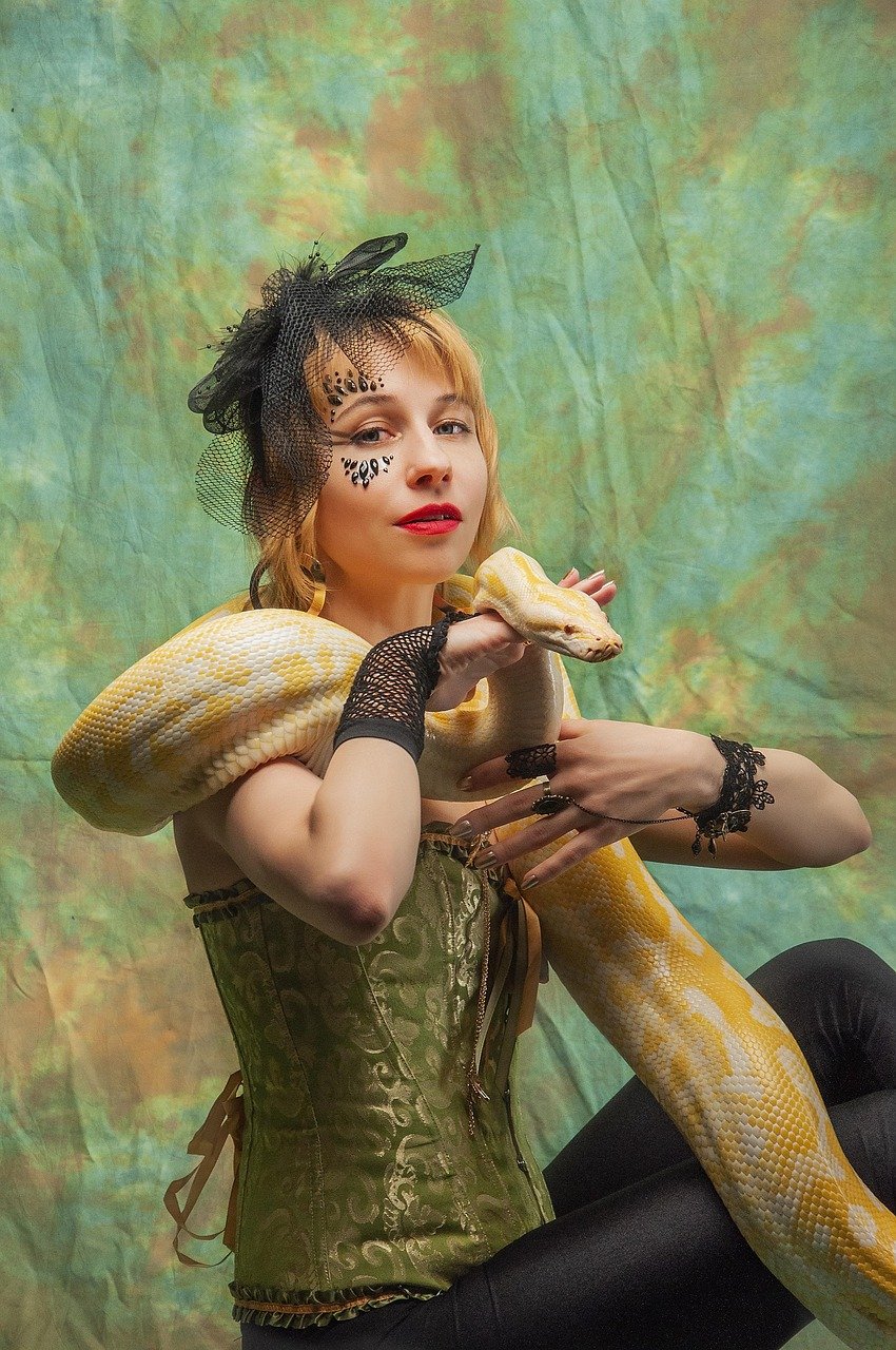 Ile żyje pyton królewski samica