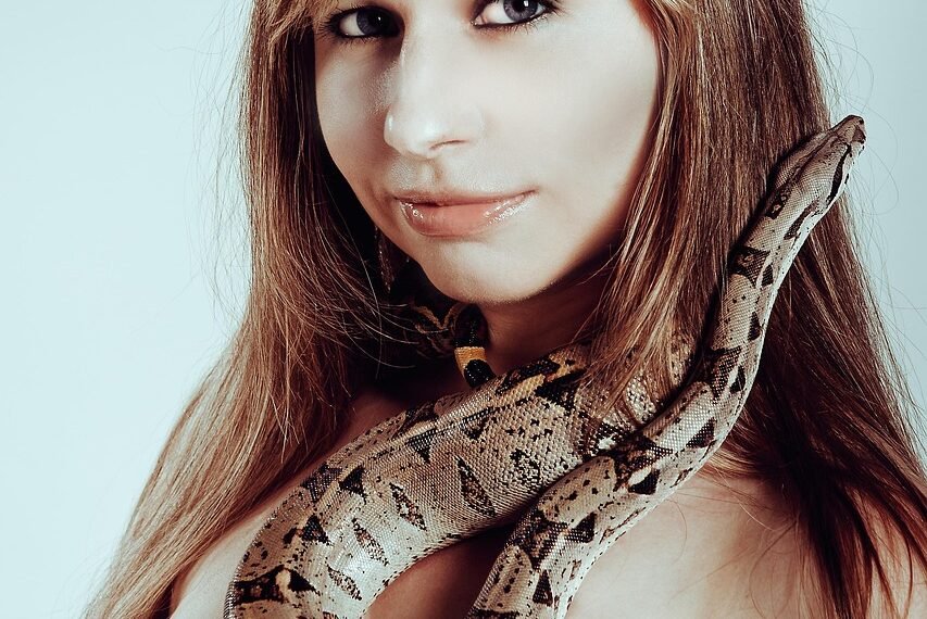 Pyton królewski jak hodować