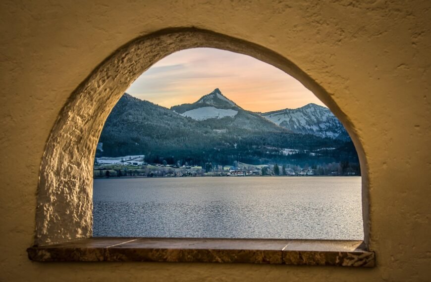 Jaka wędka na paprochy